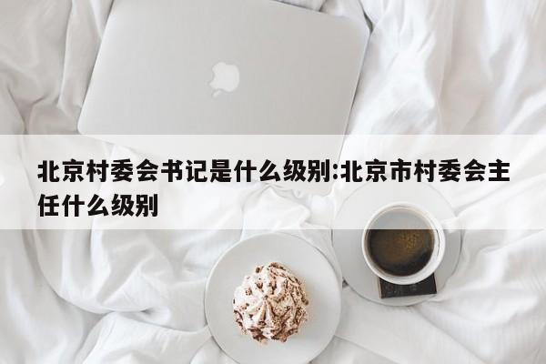 北京村委会书记是什么级别:北京市村委会主任什么级别