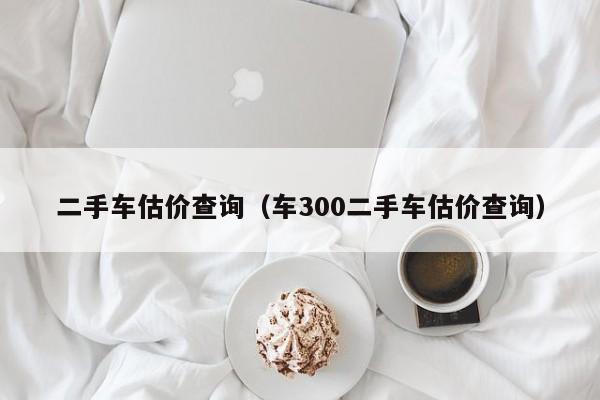 二手车估价查询(车300二手车估价查询)