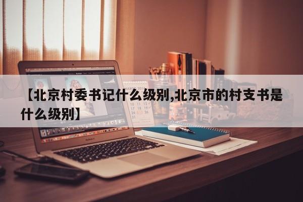 【北京村委书记什么级别,北京市的村支书是什么级别】